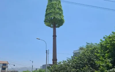 Mimetizado modelo Arbol , de 9 , 12 y 15 metros